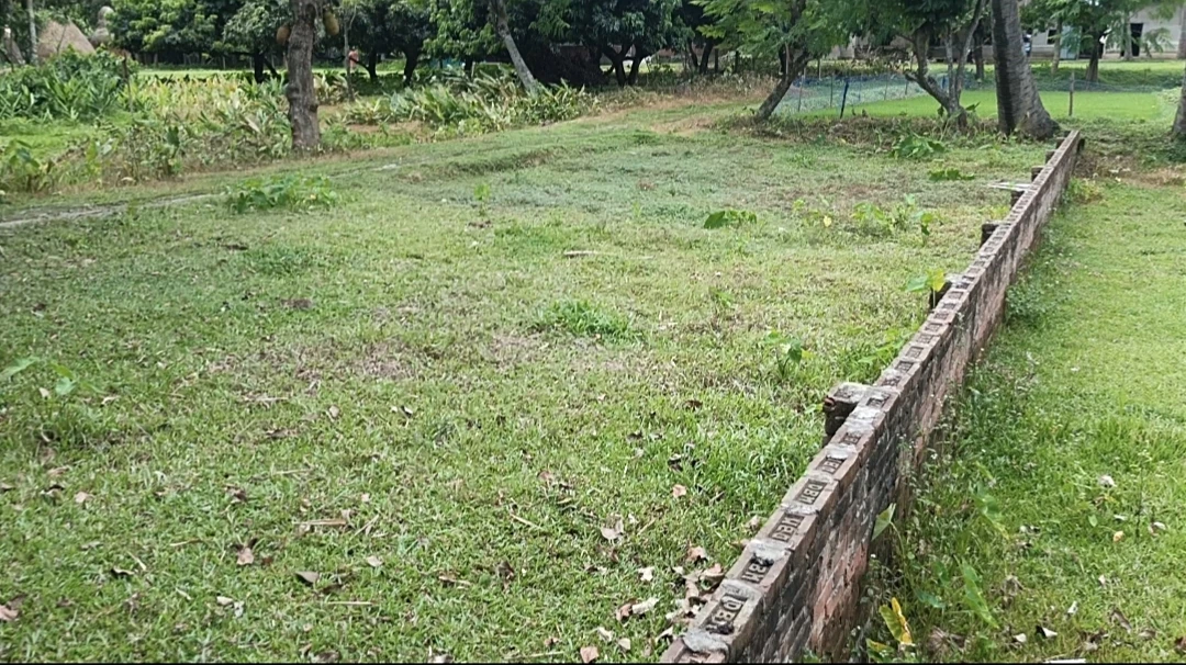 বাড়ি করার জন্য ছোট জমি ২ কাঠা