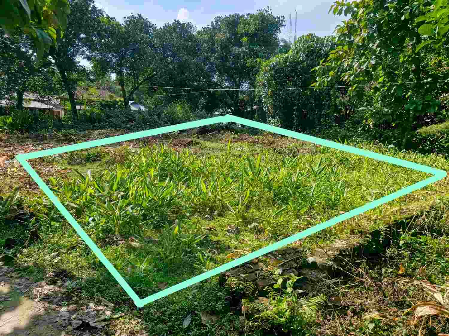 মনোরম পরিবেশে খুবই সুন্দর ছোট একটি জমি