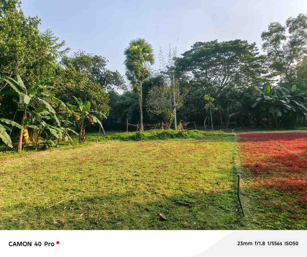 বাড়ির উপযোগী ছোট জমি (৪ কাঠা) বিক্রয়